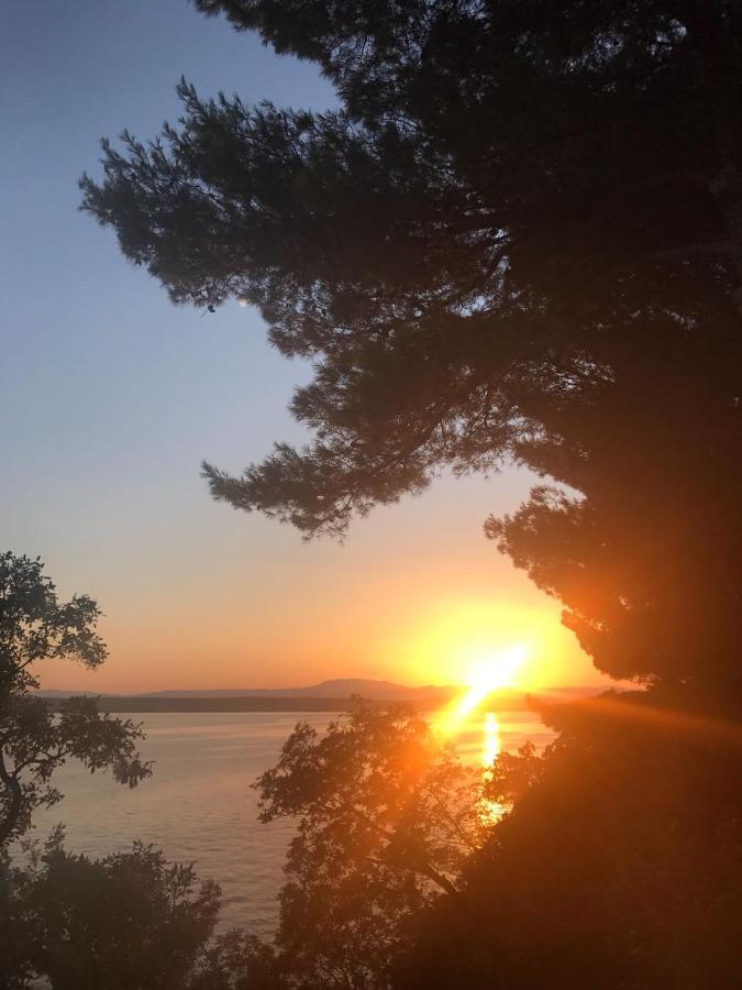 Vila Sani Crikvenica Daire Dış mekan fotoğraf